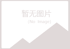 龙岩新罗夏岚能源有限公司